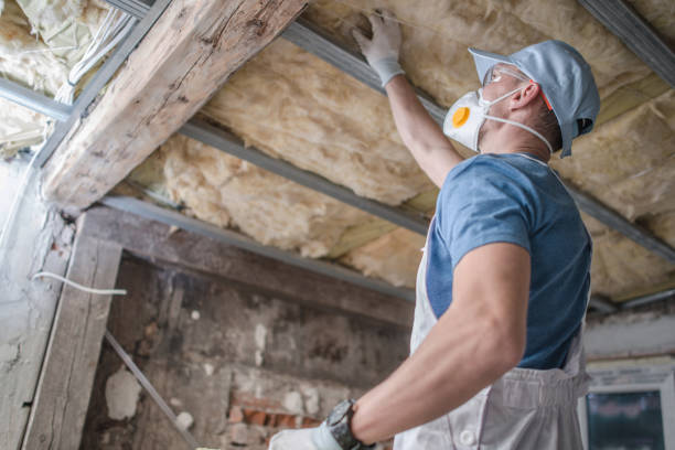 Best Insulation Maintenance and Repair in Comanche, TX